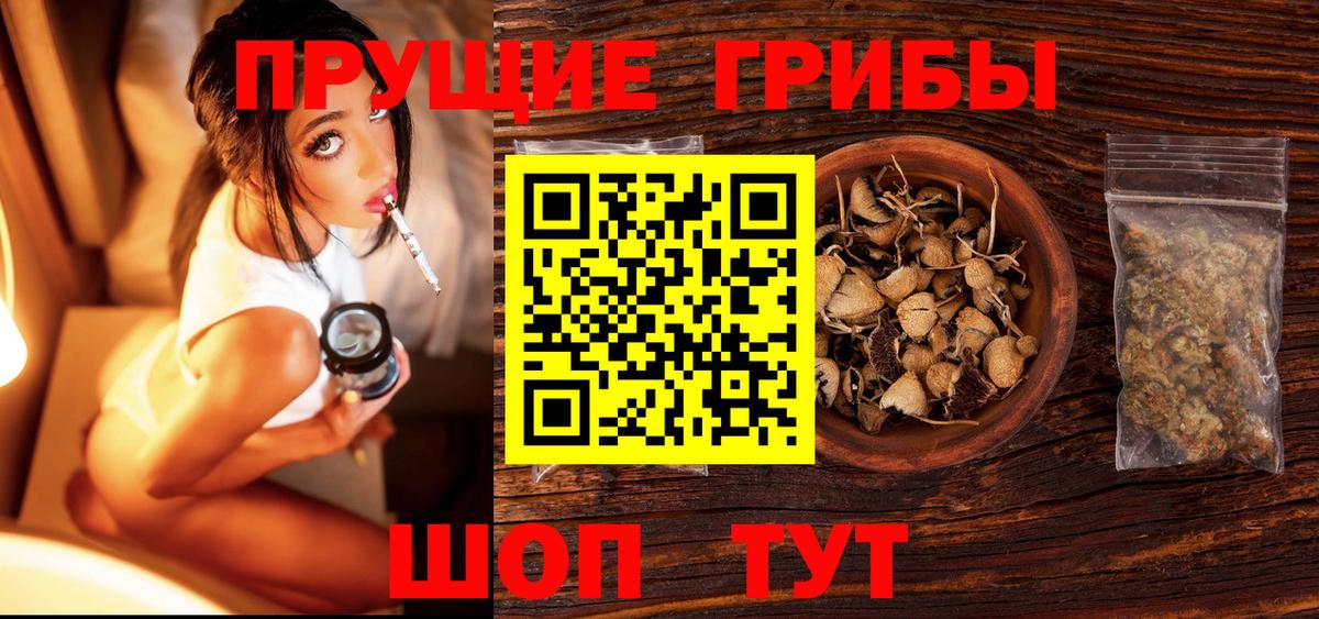 Калуга  Псилоцибиновые грибы Psilocybine cubensis  сколько стоит  Псилоцибиновые грибы ЛСД  Вход с VPN 