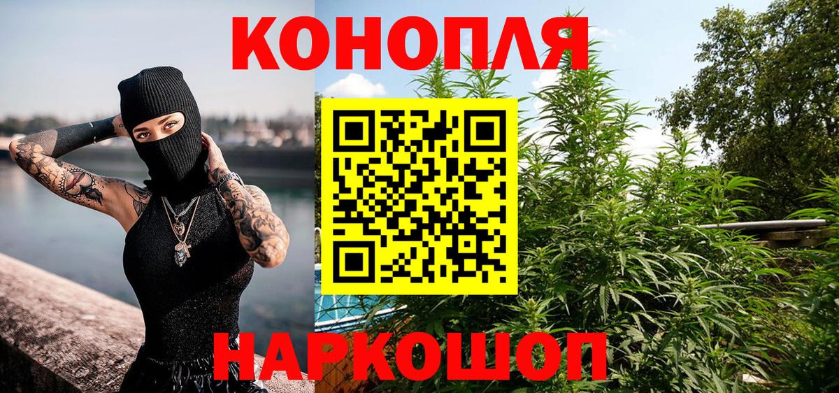 Бошки Шишки ГИДРОПОН  Вход с VPN  Бошки марихуана сатива  Калуга  Конопля семена 